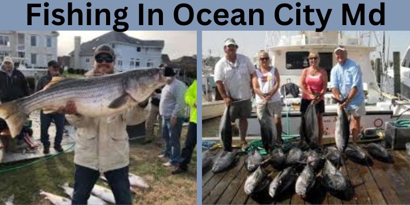 Fishing in Ocean City Med