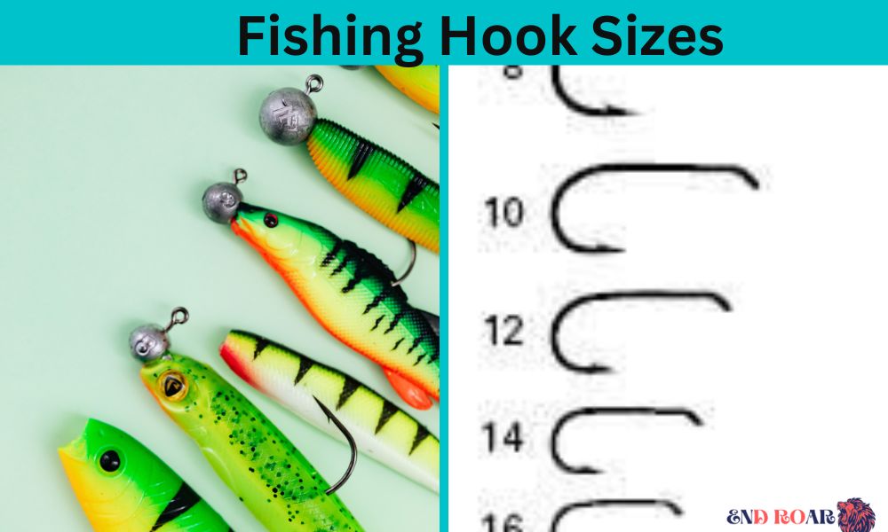 Fishing Hook Sizes