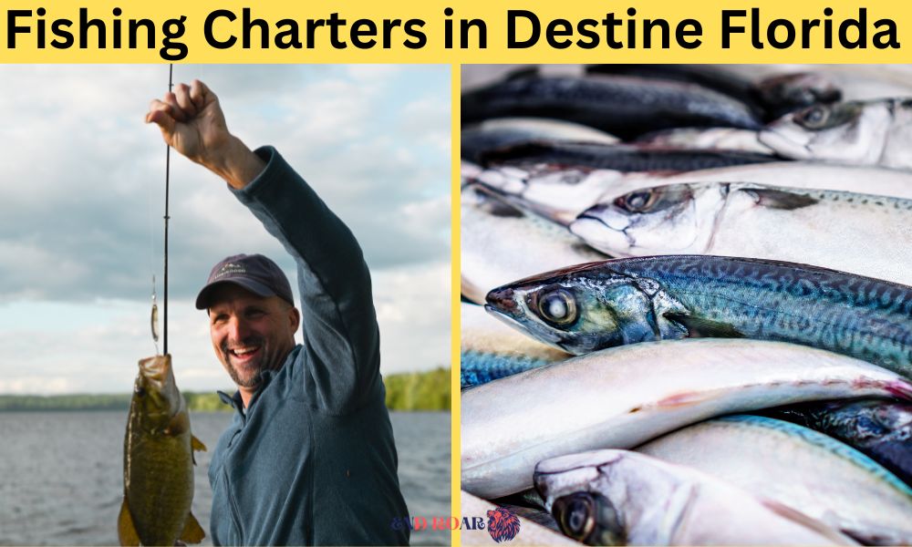 FISHING CHARTERS IN DESTINE FLORIDA