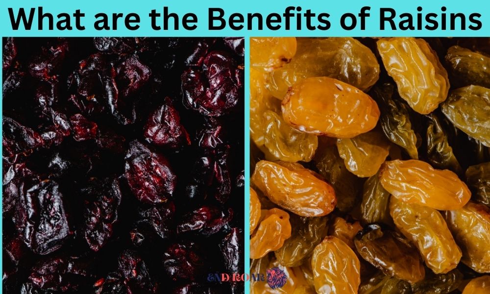 What are the Benefits of Raisins
